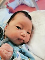 <h4>'IMG_20230128_125221.jpg' 1500 x 2000 | ELE-AL00 | 2023-01-28 12:52:23</h4>