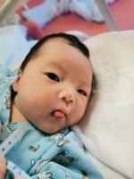 <h4>'IMG_20230128_125222.jpg' 1500 x 2000 | ELE-AL00 | 2023-01-28 12:52:24</h4>