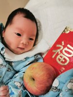 <h4>'IMG_20230128_185245.jpg' 1500 x 2000 | ELE-AL00 | 2023-01-28 18:52:47</h4>