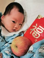 <h4>'IMG_20230128_185248.jpg' 1500 x 2000 | ELE-AL00 | 2023-01-28 18:52:49</h4>