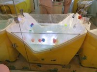 <h4>'IMG_20230207_092521.jpg' 2000 x 1500 | ELE-AL00 | 2023-02-07 09:25:22</h4>