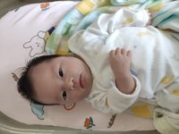 <h4>'IMG_20230207_110525.jpg' 2000 x 1500 | MIX 3 | 2023-02-07 11:05:27</h4>