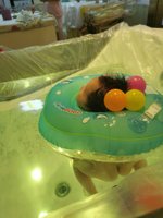 <h4>'IMG_20230222_094725.jpg' 1500 x 2000 | ELE-AL00 | 2023-02-22 09:47:25</h4>