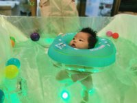 <h4>'IMG_20230228_094916.jpg' 2000 x 1500 | ELE-AL00 | 2023-02-28 09:49:17</h4>