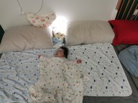 <h4>'IMG_20230323_003514.jpg' 2000 x 1500 | ELE-AL00 | 2023-03-23 00:35:16</h4>