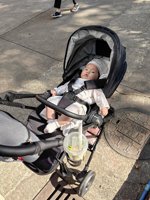 <h4>'IMG_20230426_162531.jpg' 1500 x 2000 | HUAWEI P60 | 2023-04-26 16:25:31</h4>