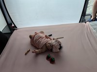 <h4>'IMG_20230501_150246.jpg' 2000 x 1500 | HUAWEI P60 | 2023-05-01 15:02:46</h4>