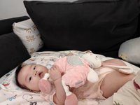 <h4>'IMG_20230602_161936.jpg' 2000 x 1500 | HUAWEI P60 | 2023-06-02 16:19:36</h4>