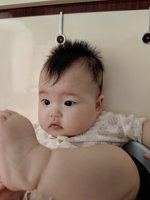 <h4>'IMG_20230628_143349.jpg' 1500 x 2000 | HUAWEI P60 | 2023-06-28 14:33:50</h4>