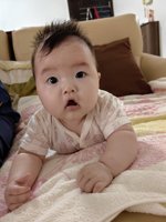 <h4>'IMG_20230628_181154.jpg' 1500 x 2000 | HUAWEI P60 | 2023-06-28 18:11:54</h4>