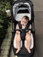 <h4>'IMG_20230708_182232.jpg' 1500 x 2000 | HUAWEI P60 | 2023-07-08 18:22:32</h4>