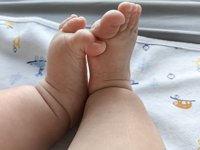 <h4>'IMG_20230714_152030.jpg' 2000 x 1500 | HUAWEI P60 | 2023-07-14 15:20:30</h4>