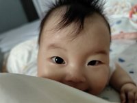 <h4>'IMG_20230804_175010.jpg' 2000 x 1500 | HUAWEI P60 | 2023-08-04 17:50:11</h4>