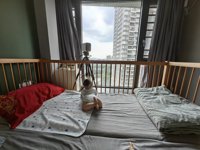 <h4>'IMG_20230808_124738.jpg' 2000 x 1500 | HUAWEI P60 | 2023-08-08 12:47:38</h4>