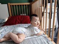 <h4>'IMG_20230808_124857.jpg' 2000 x 1500 | HUAWEI P60 | 2023-08-08 12:48:58</h4>