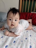 <h4>'IMG_20230808_130553.jpg' 1500 x 2000 | HUAWEI P60 | 2023-08-08 13:05:53</h4>