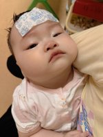 <h4>'IMG_20230903_184846.jpg' 1500 x 2000 | HUAWEI P60 | 2023-09-03 18:48:46</h4>