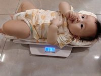 <h4>'IMG_20230911_194936.jpg' 2000 x 1500 | HUAWEI P60 | 2023-09-11 19:49:36</h4>