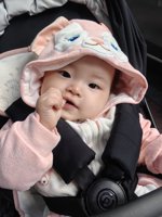 <h4>'IMG_20231118_150622.jpg' 1500 x 2000 | HUAWEI P60 | 2023-11-18 15:06:22</h4>