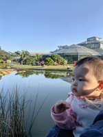 <h4>'IMG_20231118_163535.jpg' 1500 x 2000 | HUAWEI P60 | 2023-11-18 16:35:35</h4>