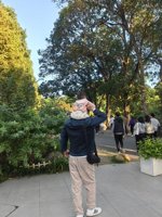 <h4>'IMG_20231118_164254.jpg' 1500 x 2000 | HUAWEI P60 | 2023-11-18 16:42:54</h4>