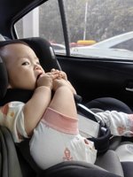 <h4>'IMG_20231210_150208.jpg' 1500 x 2000 | HUAWEI P60 | 2023-12-10 15:02:08</h4>