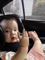 <h4>'IMG_20231210_150211.jpg' 1500 x 2000 | HUAWEI P60 | 2023-12-10 15:02:11</h4>