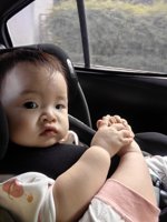 <h4>'IMG_20231210_150214.jpg' 1500 x 2000 | HUAWEI P60 | 2023-12-10 15:02:14</h4>