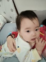 <h4>'IMG_20231222_210344.jpg' 1500 x 2000 | HUAWEI P60 | 2023-12-22 21:03:44</h4>