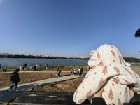 <h4>'IMG_20231224_151609.jpg' 2000 x 1500 | HUAWEI P60 | 2023-12-24 15:16:09</h4>