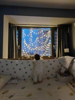 <h4>'IMG_20231224_181306.jpg' 1500 x 2000 | HUAWEI P60 | 2023-12-24 18:13:06</h4>