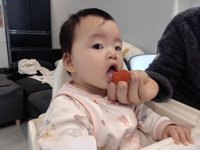 <h4>'IMG_20231231_103742.jpg' 2000 x 1500 | HUAWEI P60 | 2023-12-31 10:37:42</h4>