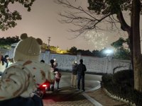 <h4>'IMG_20240224_203330.jpg' 2000 x 1500 | HUAWEI P60 | 2024-02-24 20:33:30</h4>