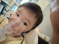 <h4>'IMG_20240416_065148.jpg' 2000 x 1500 | HUAWEI P60 | 2024-04-16 06:51:48</h4>