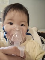 <h4>'IMG_20240416_065206.jpg' 1500 x 2000 | HUAWEI P60 | 2024-04-16 06:52:06</h4>