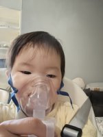 <h4>'IMG_20240416_065209.jpg' 1500 x 2000 | HUAWEI P60 | 2024-04-16 06:52:09</h4>