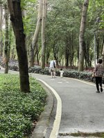 <h4>'IMG_20240420_095041.jpg' 1500 x 2000 | HUAWEI P60 | 2024-04-20 09:50:41</h4>