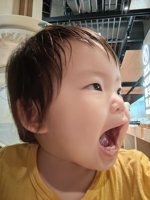 <h4>'IMG_20240519_125017.jpg' 1500 x 2000 | HUAWEI P60 | 2024-05-19 12:50:17</h4>