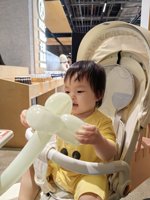 <h4>'IMG_20240519_125319.jpg' 1500 x 2000 | HUAWEI P60 | 2024-05-19 12:53:19</h4>