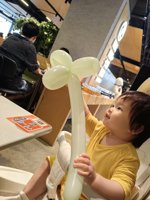 <h4>'IMG_20240519_125328.jpg' 1500 x 2000 | HUAWEI P60 | 2024-05-19 12:53:28</h4>