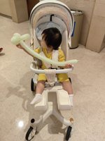 <h4>'IMG_20240519_131305.jpg' 1500 x 2000 | HUAWEI P60 | 2024-05-19 13:13:05</h4>