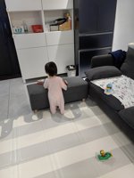 <h4>'IMG_20240610_183956.jpg' 1500 x 2000 | HUAWEI P60 | 2024-06-10 18:39:56</h4>