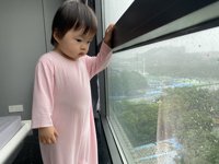 <h4>'IMG_7469.JPG' 2000 x 1500 | iPhone 11 Pro | 2024-06-01 09:03:06</h4>