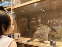 <h4>'IMG_20240921_174733.jpg' 2000 x 1500 | HUAWEI P60 | 2024-09-21 17:47:33</h4>