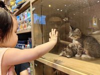 <h4>'IMG_20240921_174740.jpg' 2000 x 1500 | HUAWEI P60 | 2024-09-21 17:47:40</h4>