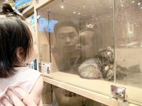 <h4>'IMG_20240921_174800.jpg' 2000 x 1500 | HUAWEI P60 | 2024-09-21 17:48:00</h4>