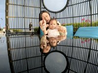 <h4>'IMG_20241001_173606.jpg' 2000 x 1500 | HUAWEI P60 | 2024-10-01 17:36:06</h4>