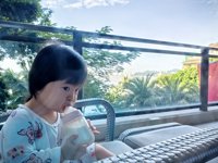 <h4>'IMG_20241002_080752.jpg' 2000 x 1500 | HUAWEI P60 | 2024-10-02 08:07:52</h4>