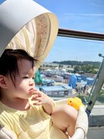 <h4>'IMG_20241003_114122.jpg' 1500 x 2000 | HUAWEI P60 | 2024-10-03 11:41:22</h4>