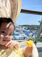 <h4>'IMG_20241003_114129.jpg' 1500 x 2000 | HUAWEI P60 | 2024-10-03 11:41:29</h4>